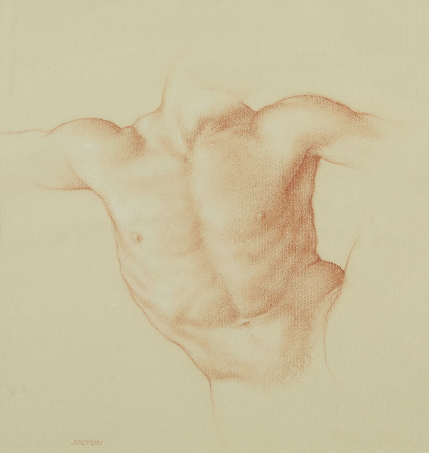 Rob Nicpon Male Torso Drawing - Bild 3 aus 6