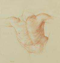 Rob Nicpon Male Torso Drawing