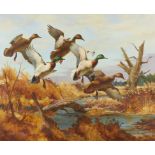 Fred Sweney Mallards Oil on Canvas Painting