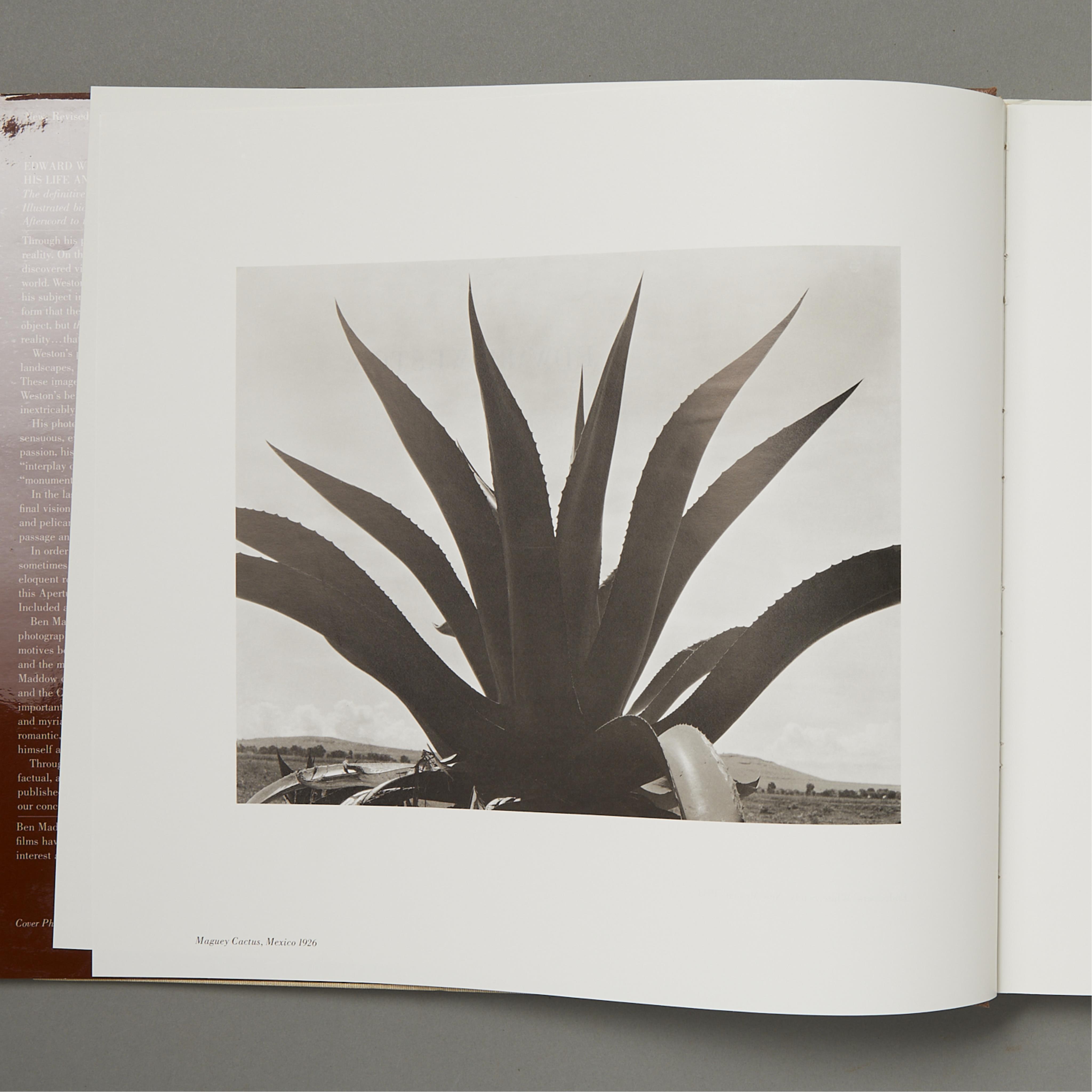 2 Photography Books of Edward and Brett Weston - Image 6 of 17