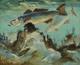 Fred Sweney Trout Fish Oil Painting