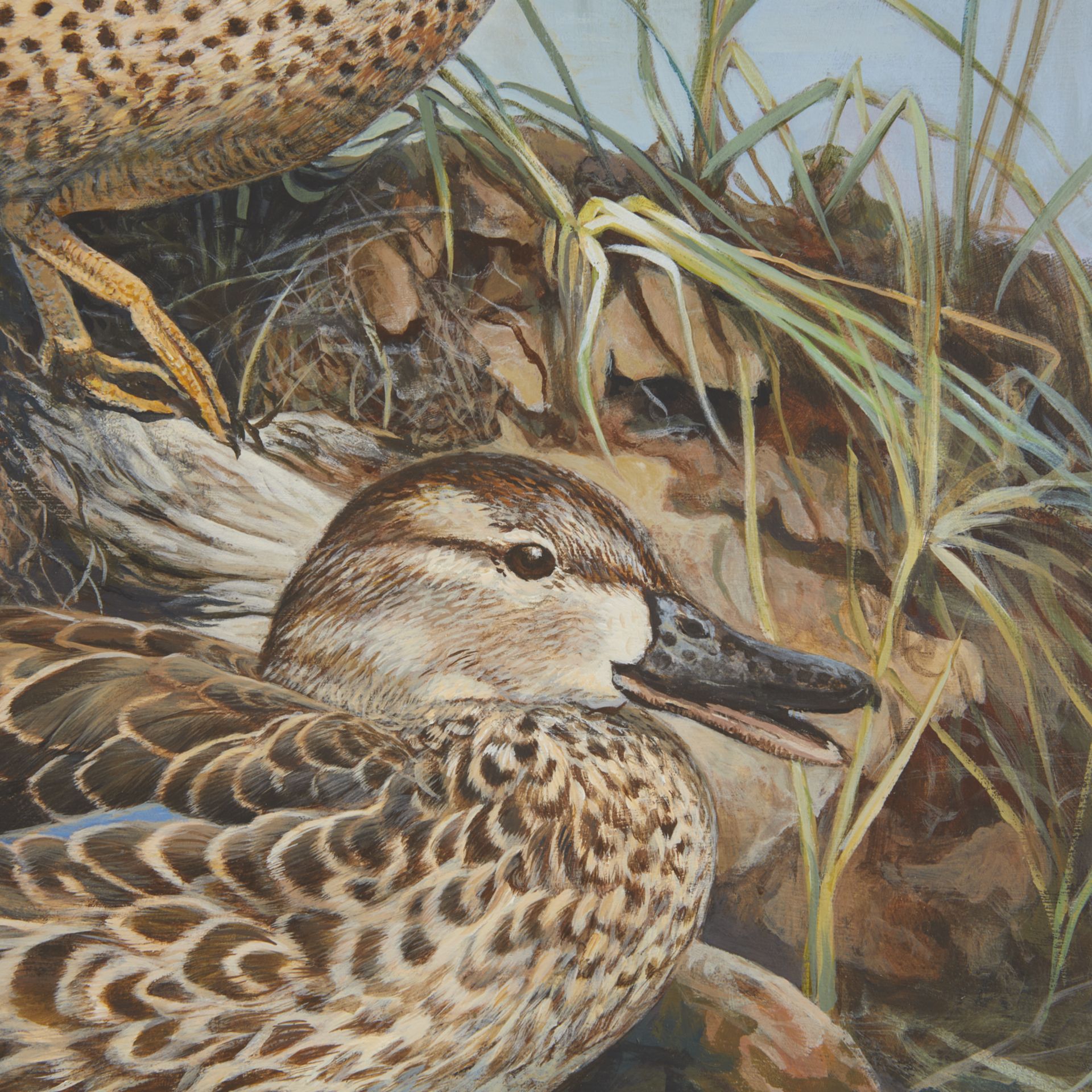 Jim Foote Blue-Winged Teal Oil Painting - Image 4 of 6
