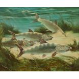 Fred Sweney Bonefish Oil Painting