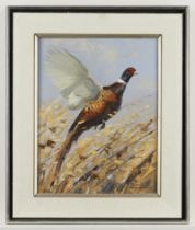 Robert F. Morgan "Pheasant" Oil Painting 1977