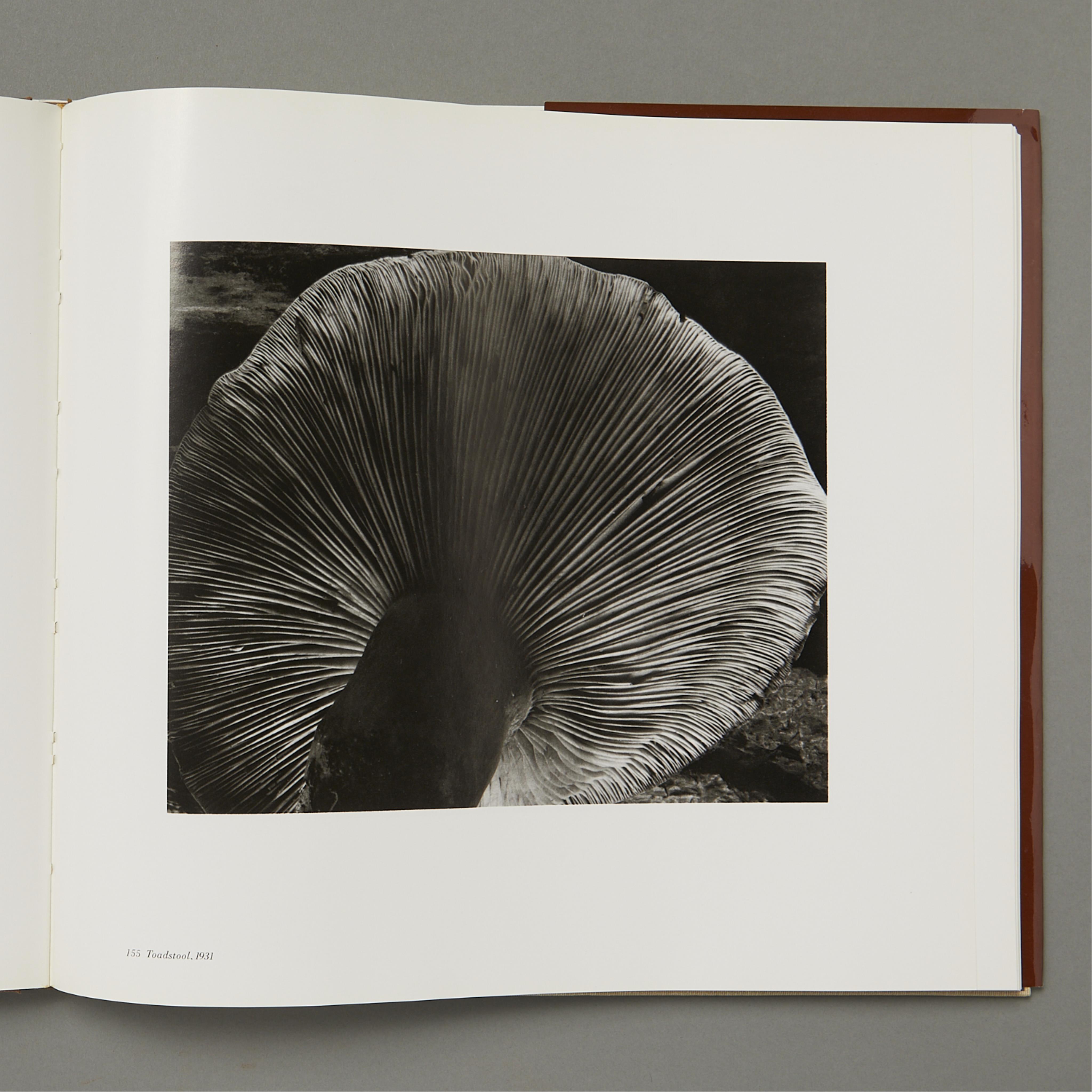 2 Photography Books of Edward and Brett Weston - Image 9 of 17