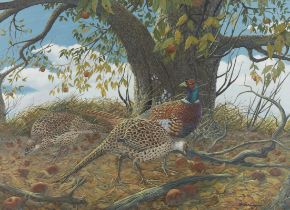 Richard Sloan Pheasants Gouache on Board Painting