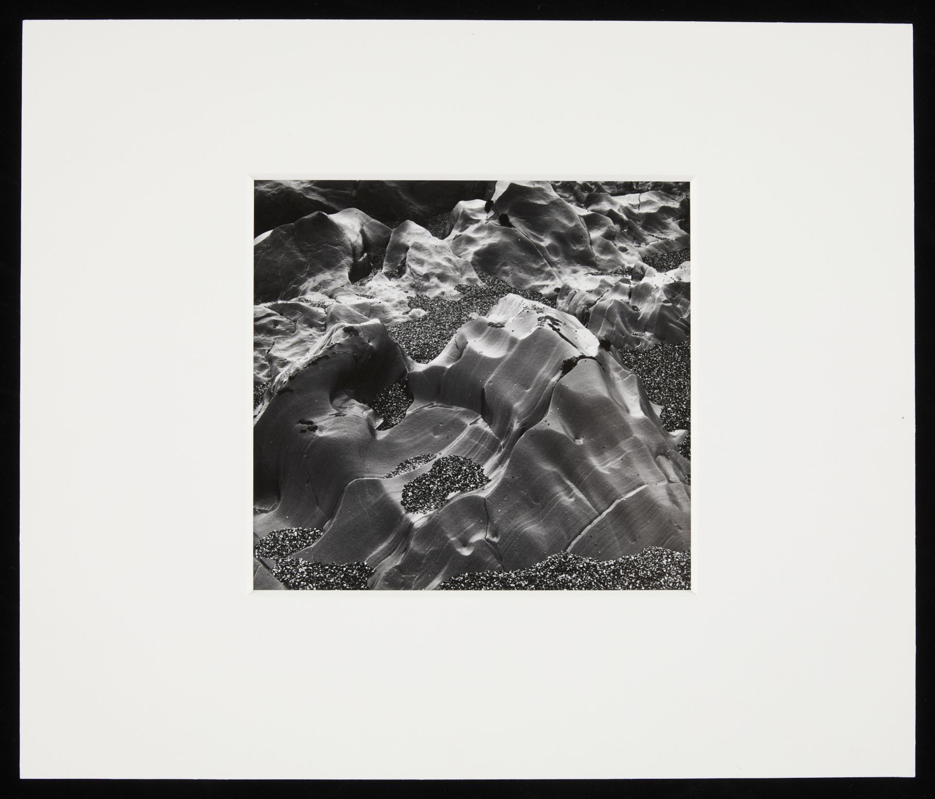 Brett Weston "Oregon" GSP Photo 1973 - Image 2 of 5