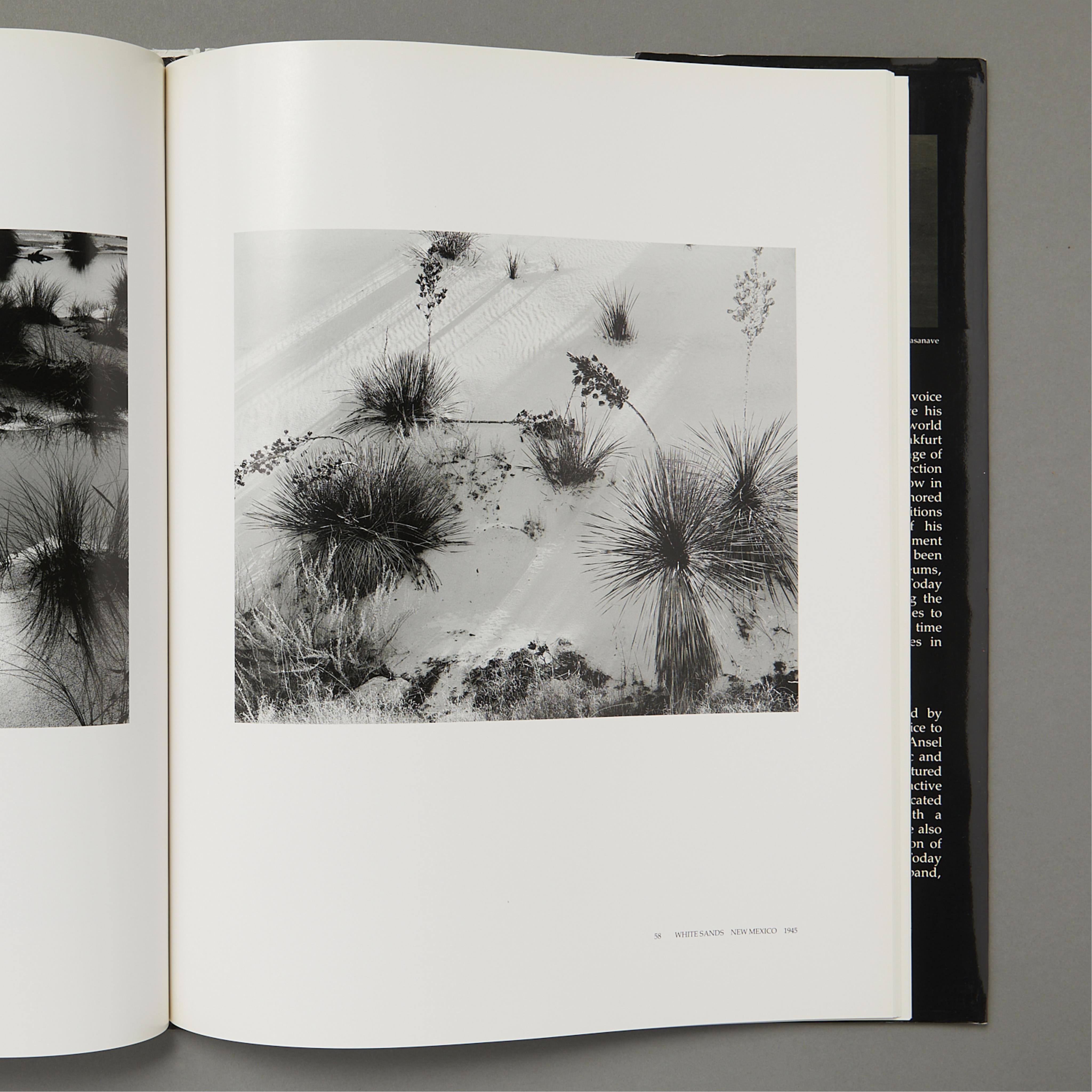2 Photography Books of Edward and Brett Weston - Image 16 of 17