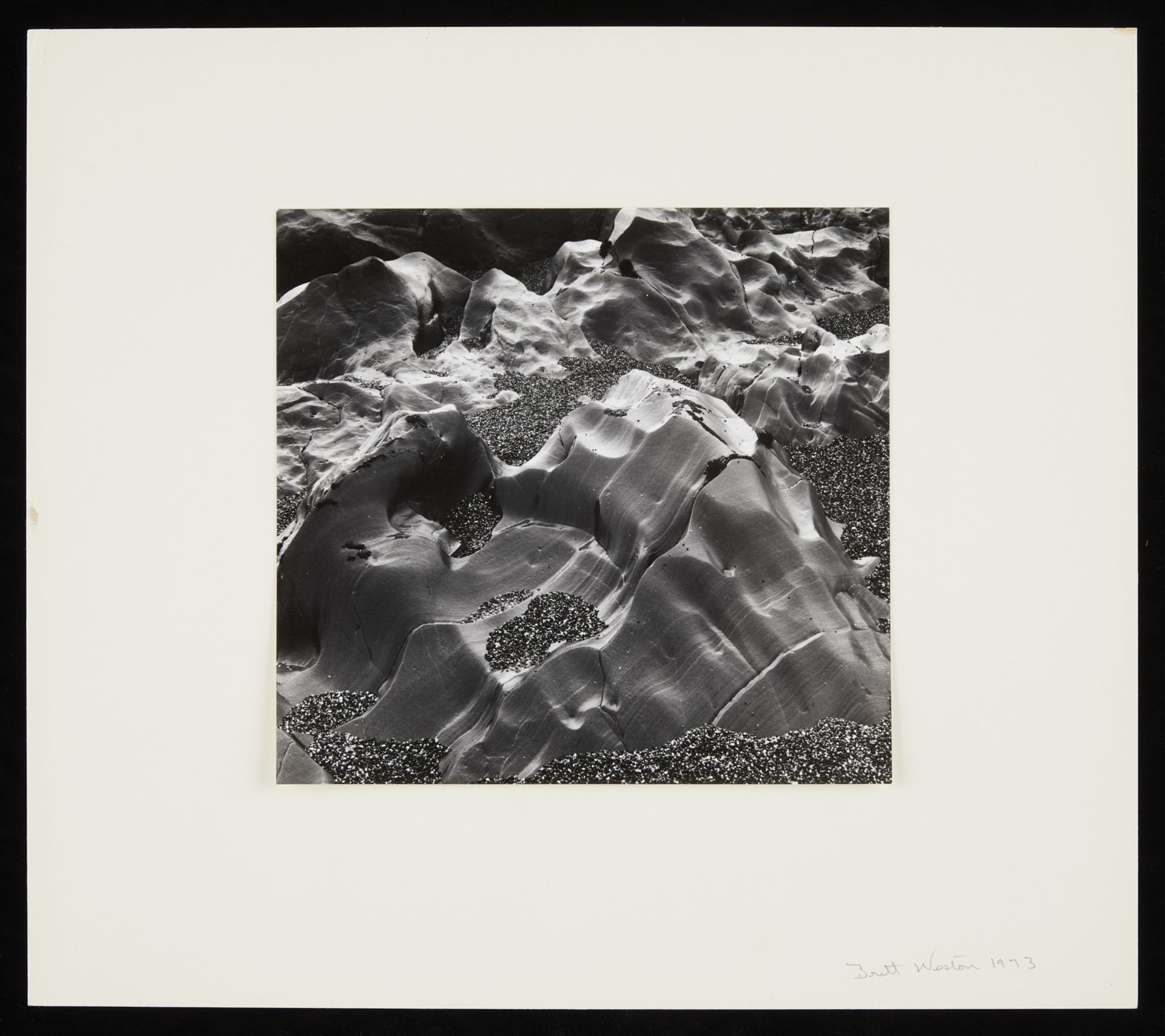 Brett Weston "Oregon" GSP Photo 1973 - Image 3 of 5
