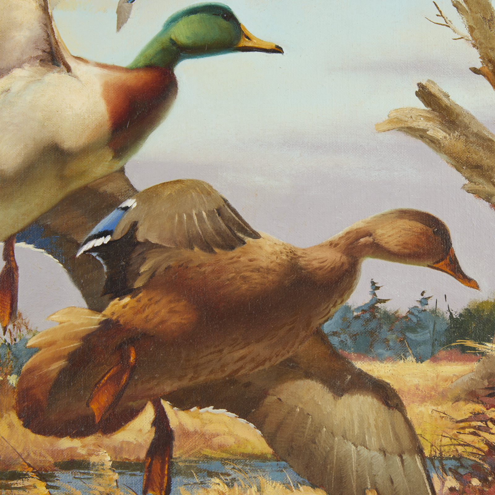 Fred Sweney Mallards Oil on Canvas Painting - Image 4 of 6