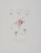 Oris Robertson "Guadalajara Roses #17" Mixed Media
