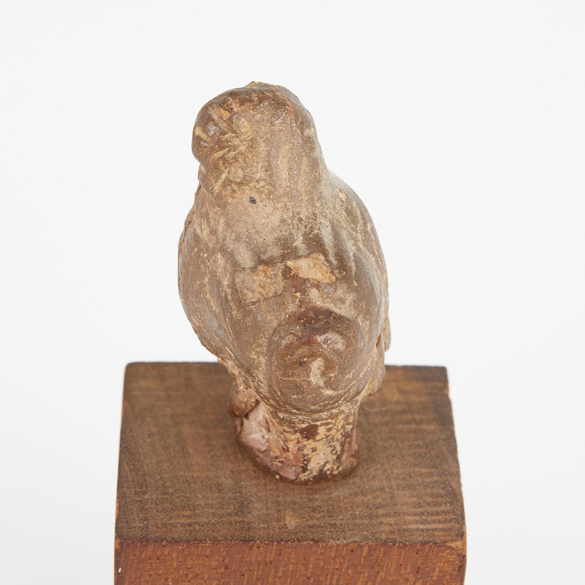 Small Etruscan Head with Wooden Stand - Image 9 of 9
