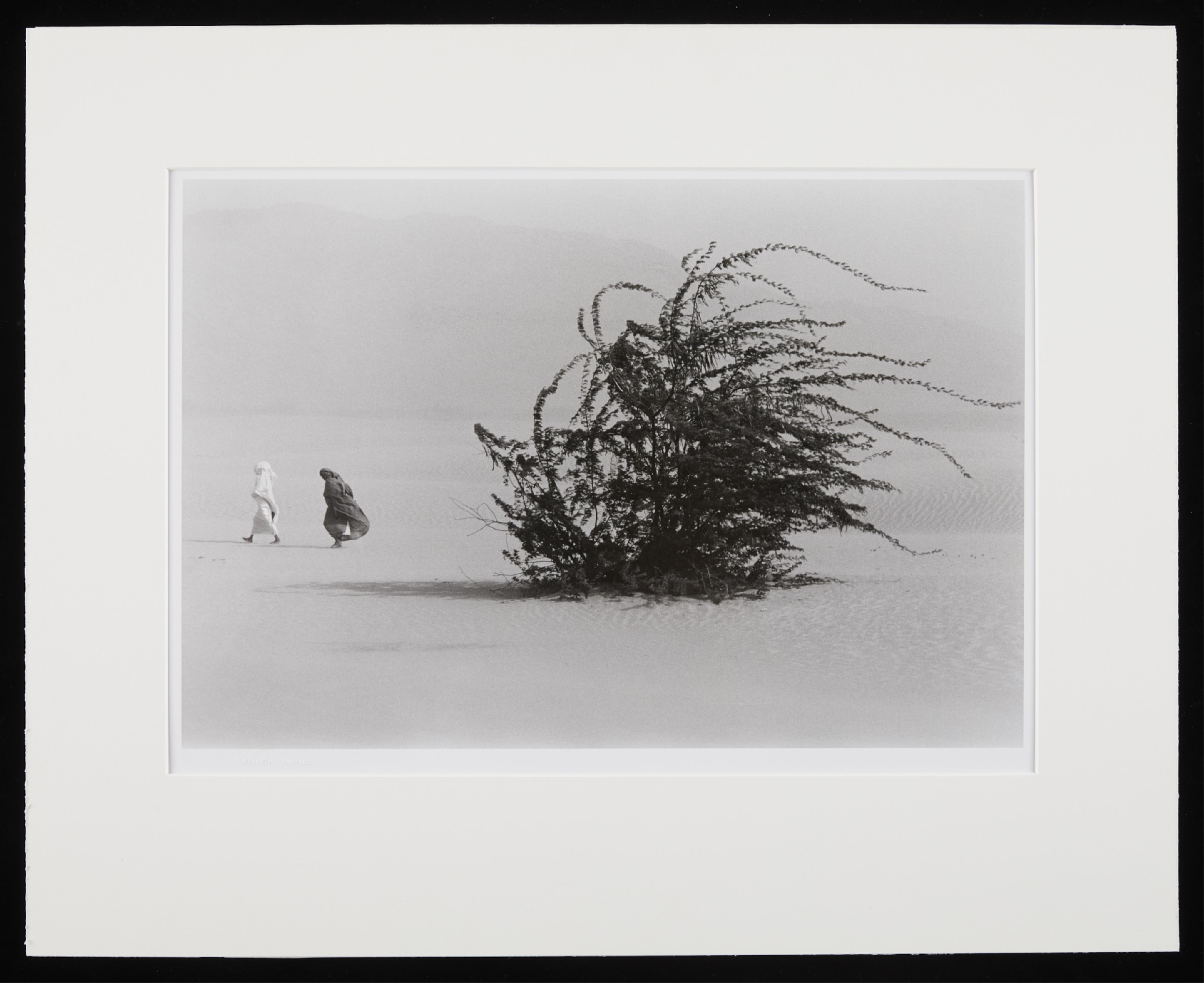 Sebastiao Salgado "Soudan" GSP Photograph 1985 - Image 3 of 8