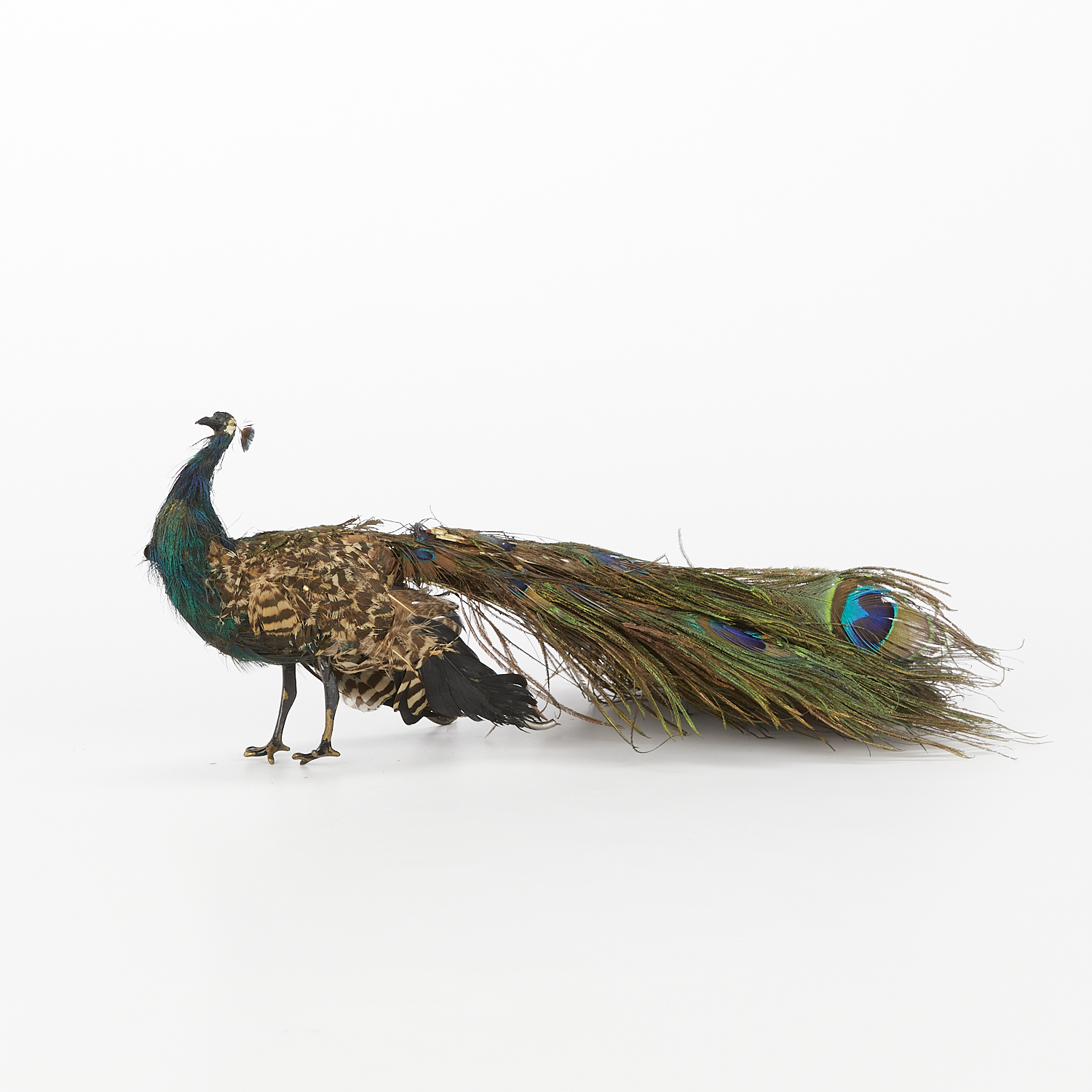Roullet & Decamps Automaton Peacock - Works - Image 3 of 16
