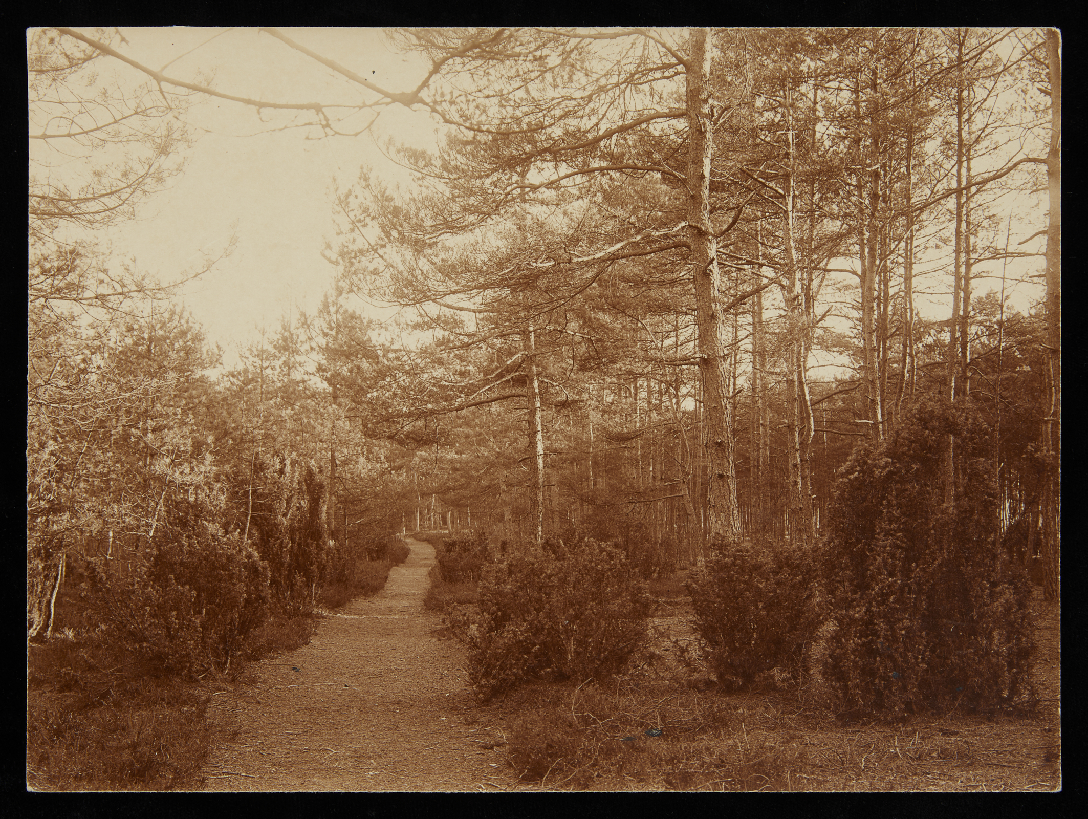 6 Vintage Albumen Photographs - UK & Netherlands - Image 2 of 14