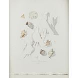 Oris Robertson Seashells & Birds Mixed Media 1986