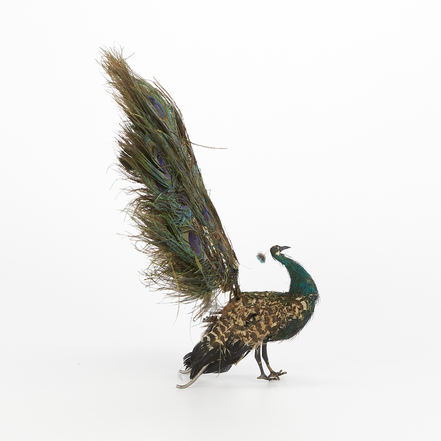 Roullet & Decamps Automaton Peacock - Works - Image 8 of 16