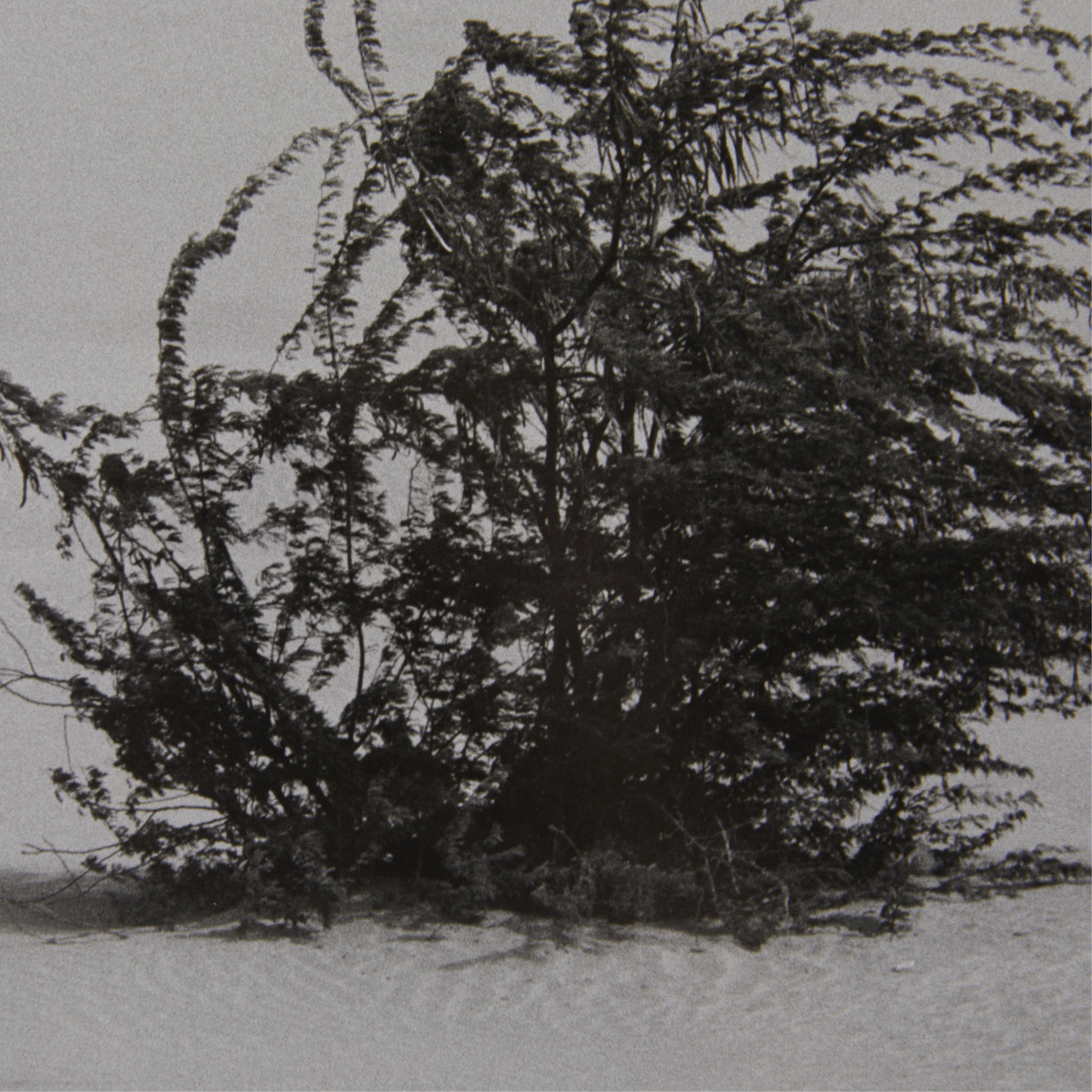 Sebastiao Salgado "Soudan" GSP Photograph 1985 - Image 6 of 8