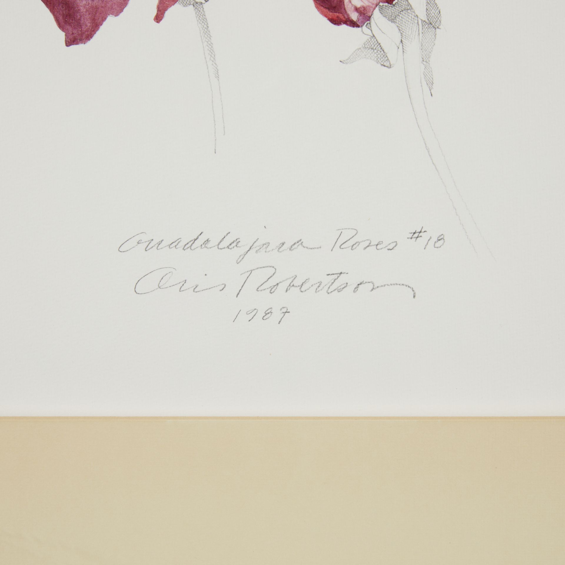 Oris Robertson "Guadalajara Roses #18" Mixed Media - Image 2 of 5