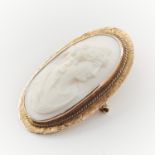 10k Gold Shell Cameo Brooch