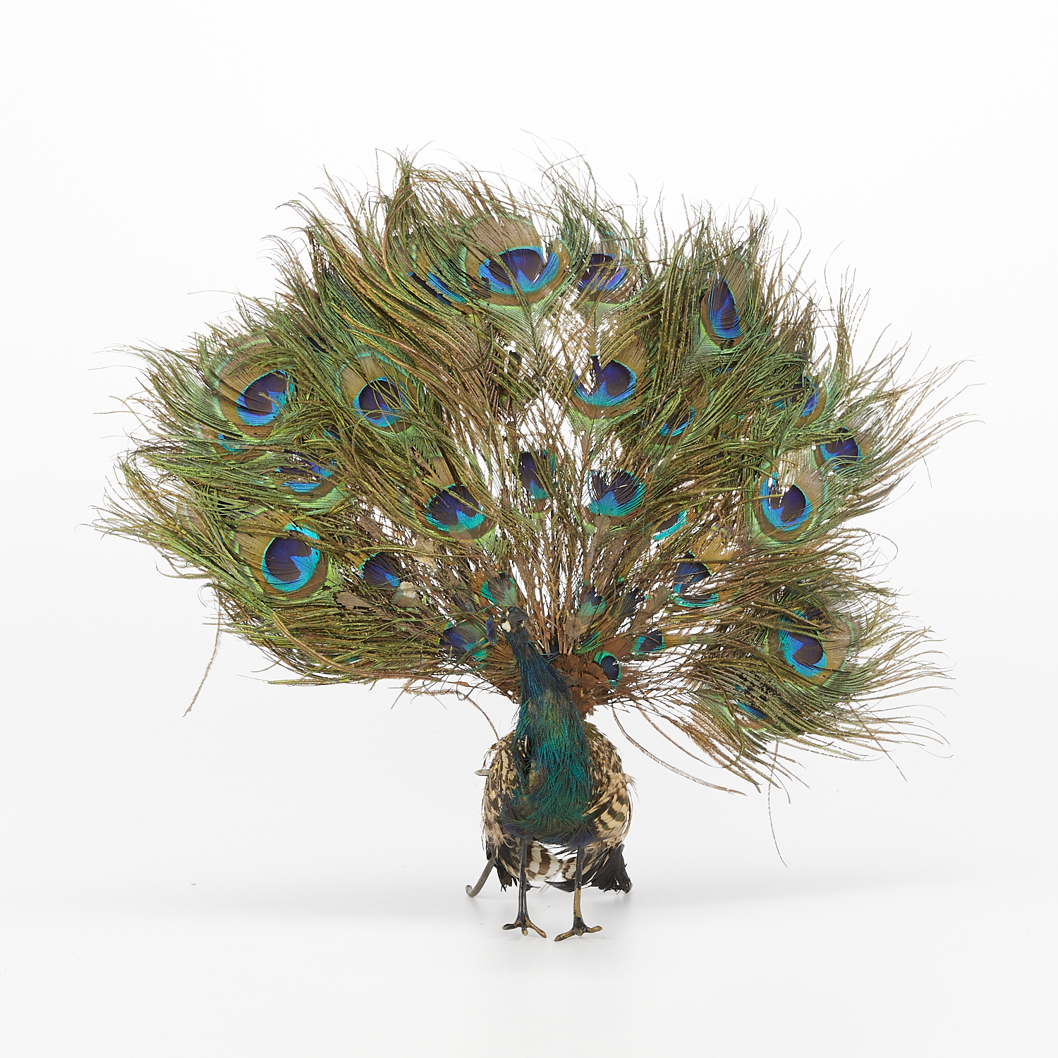 Roullet & Decamps Automaton Peacock - Works - Image 5 of 16