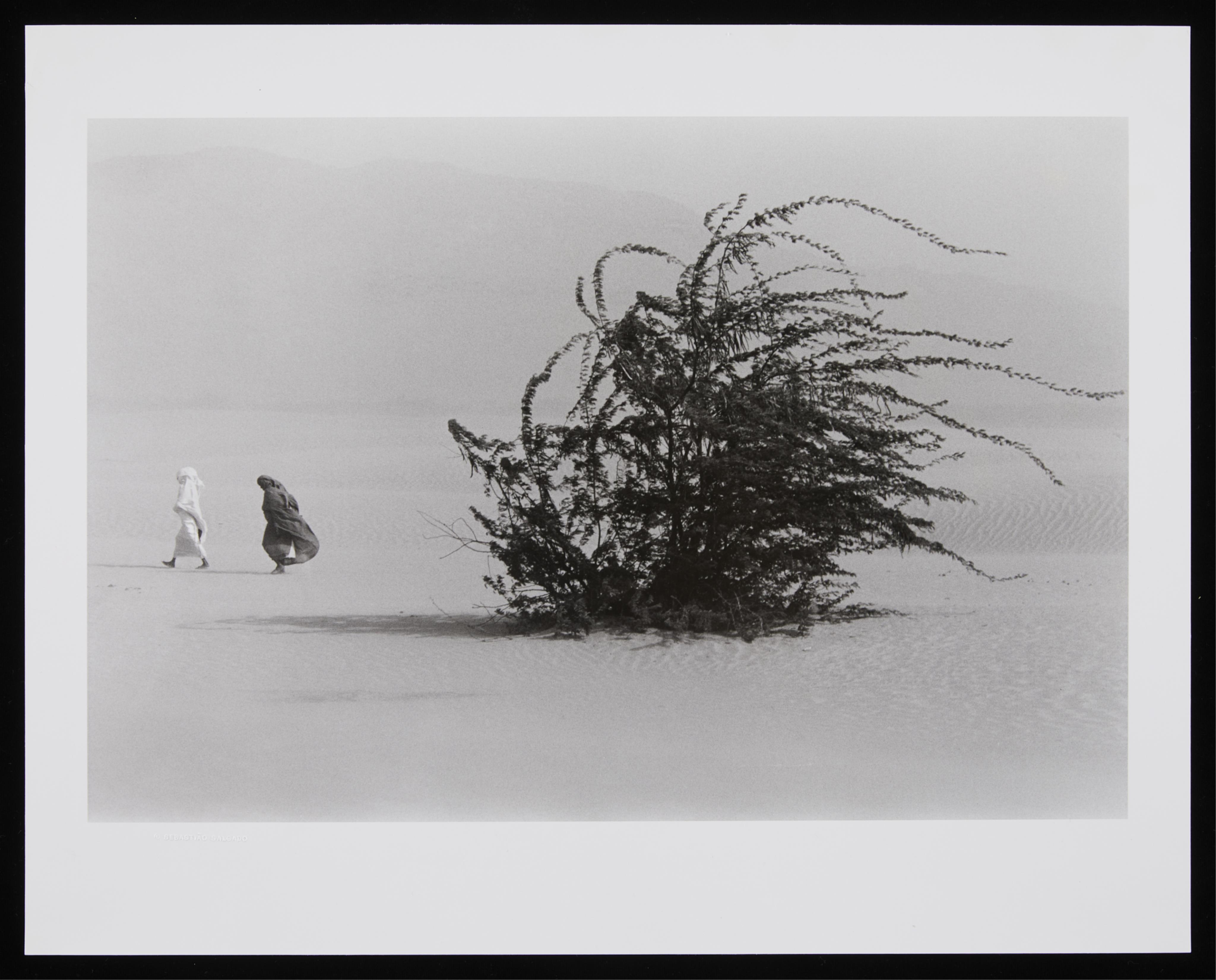 Sebastiao Salgado "Soudan" GSP Photograph 1985 - Image 2 of 8