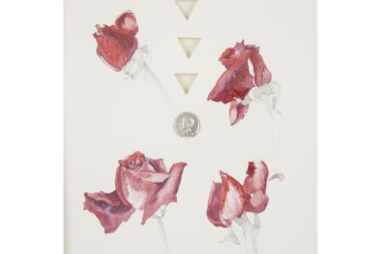 Oris Robertson "Guadalajara Roses #18" Mixed Media - Image 4 of 5