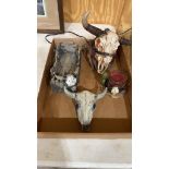 Box of cow skull decor