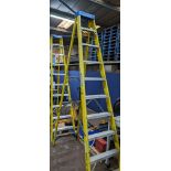 Werner 10 tread electrician's insulated stepladders