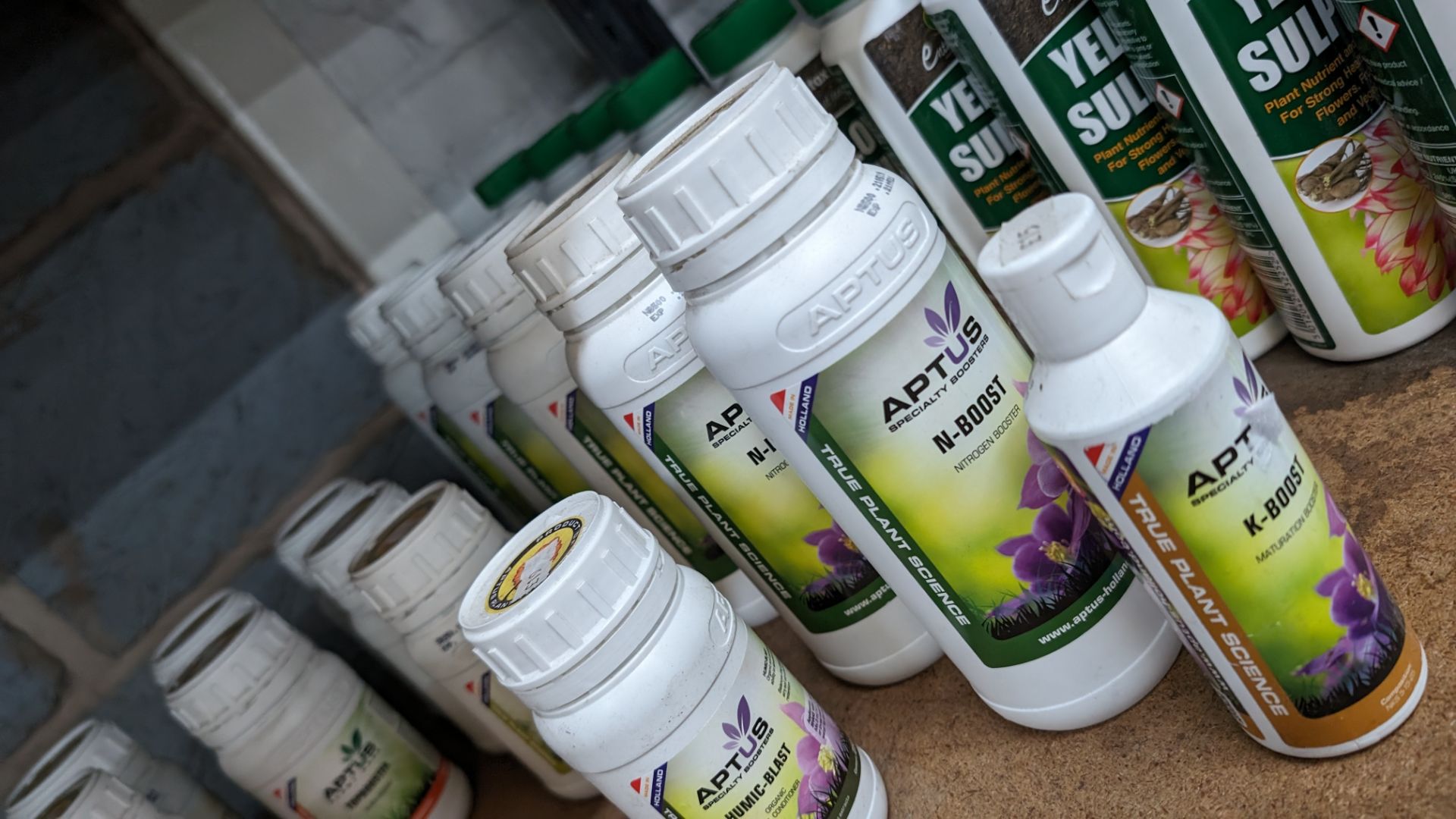 17 assorted sized bottles of assorted Aptus Nutrition products - Image 5 of 5