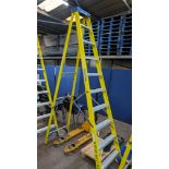 Werner 10 tread electrician's insulated stepladders