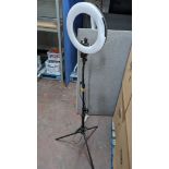 Esddi PLV-R360 floor standing light ring, NB: small amount of damage to cover (as pictured)