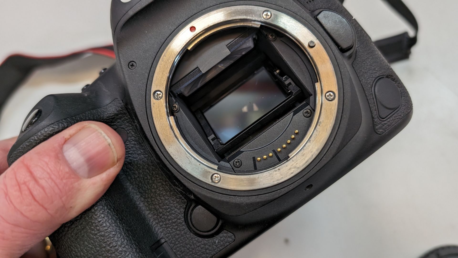 Canon EOS 5D Mark IV SLR camera including strap & battery - Bild 14 aus 16