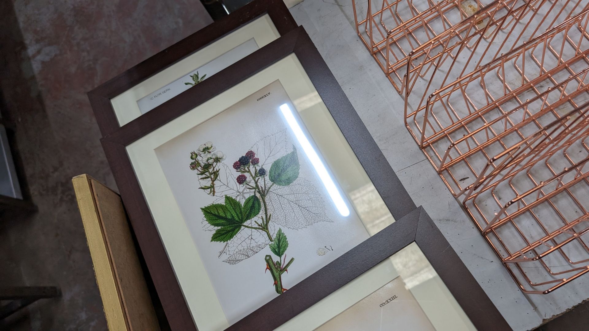 Mixed lot comprising 3 off pictures, 2 off frames, 1 off mirror and small cactus - Image 6 of 8
