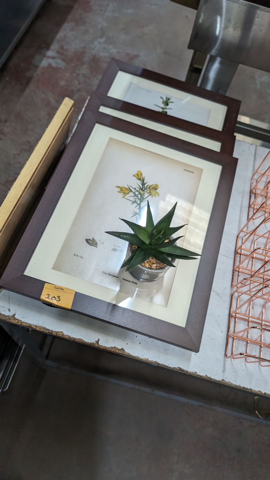 Mixed lot comprising 3 off pictures, 2 off frames, 1 off mirror and small cactus - Image 8 of 8