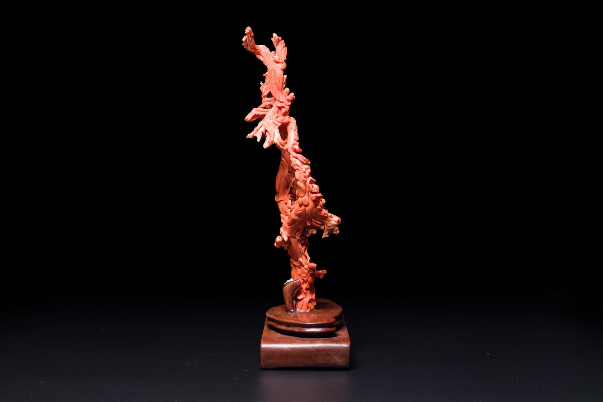 A large Chinese red coral group of female deities among clouds on wooden stand, 19/20th C. - Bild 4 aus 4