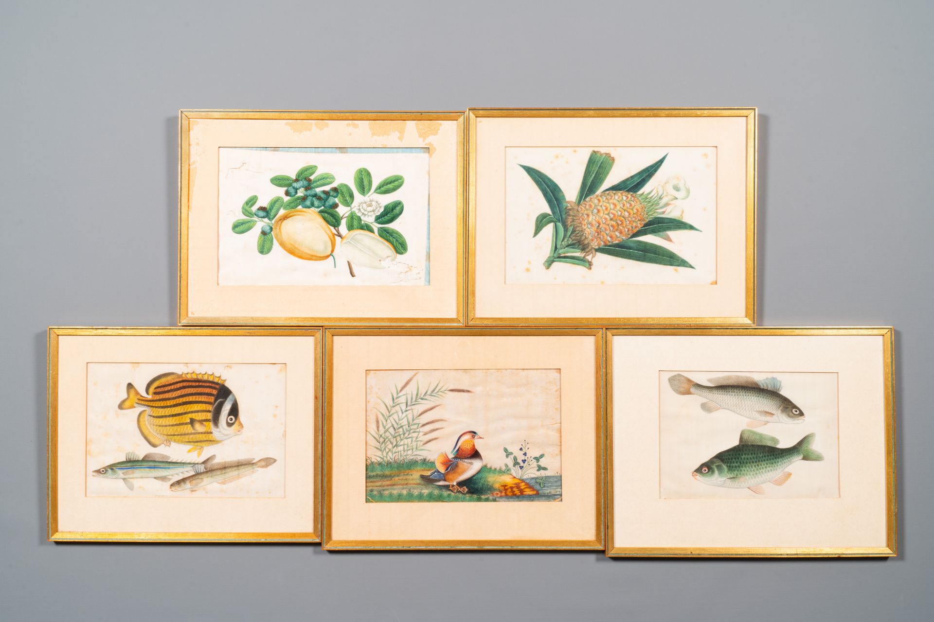 Ten various Chinese rice paper paintings with flora and fauna, Canton, 19/20th C. - Bild 2 aus 3