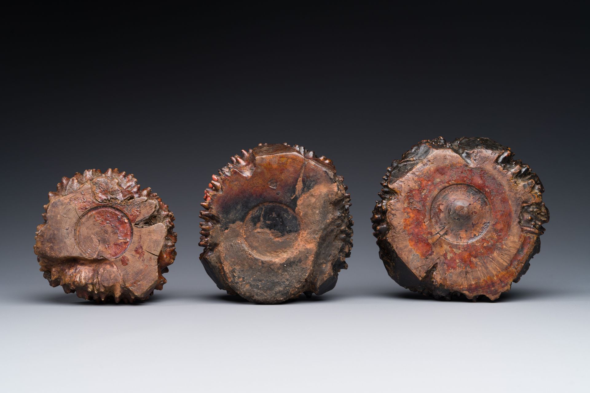 Three Chinese burl wood brush washers, 19th C. - Image 4 of 4