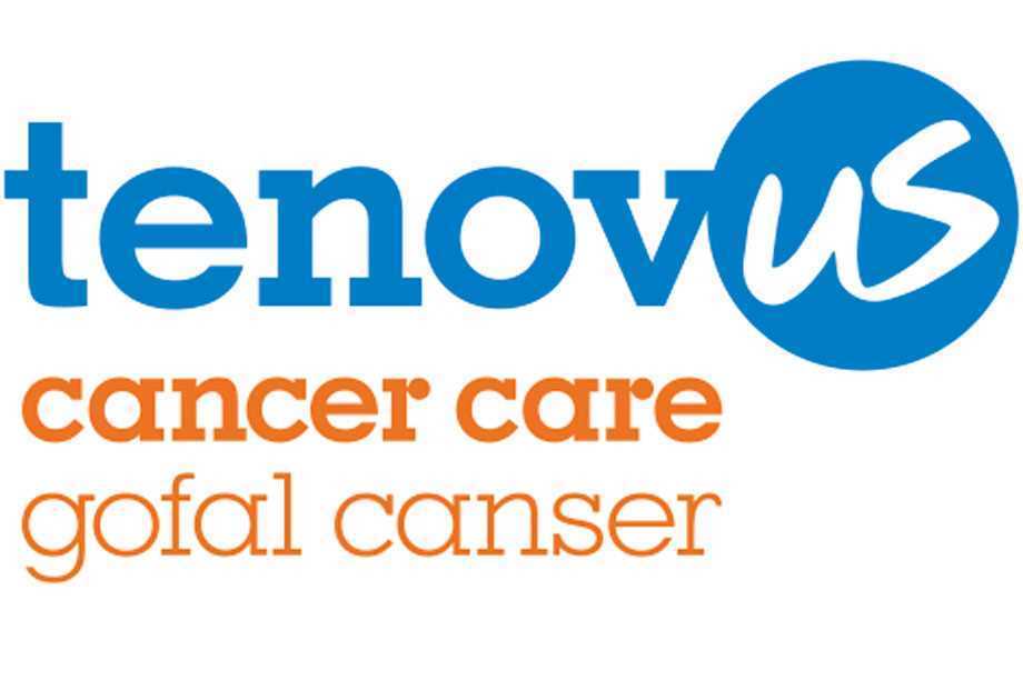 CHARITY LOT SUPPORTING TENOVUS CANCER CARE, assorted items of furniture, paintings and books