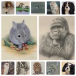 TWELVE ANIMAL STUDY PAINTINGS AND PRINTS BY VARIOUS ARTISTS including Peter Hilbick limited