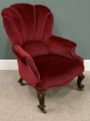 VICTORIAN WALNUT & UPHOLSTERED SHELL BACK SALON ARMCHAIR carved front supports, knurled feet,