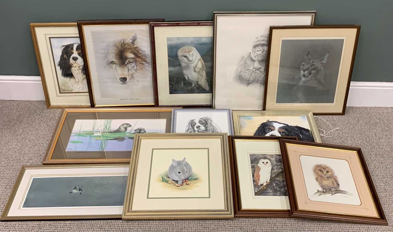 TWELVE ANIMAL STUDY PAINTINGS AND PRINTS BY VARIOUS ARTISTS including Peter Hilbick limited - Image 14 of 14