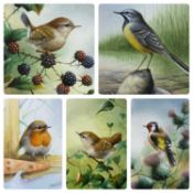 ‡ DAVID A FINNEY (British 20th Century) five watercolours - various British bird specimen studies,