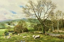 TONY WOODING (British 20th Century) oil on canvas - sheep grazing, farm and mountains beyond, titled