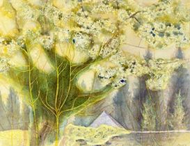 JOAN CONNELL RCA (British b. 1925) watercolour and crayon - entitled verso, 'Pear Tree', signed