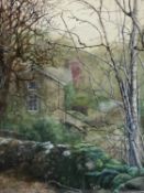 ‡ TINA HOLLEY watercolour - entitled "Silver Birch", signed lower right, 39 x 27cms Provenance: