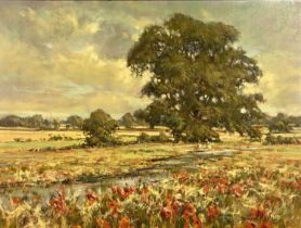 ‡ DAVID HYDE (British b. 1949) oil on board - landscape with poppies in foreground, figures to