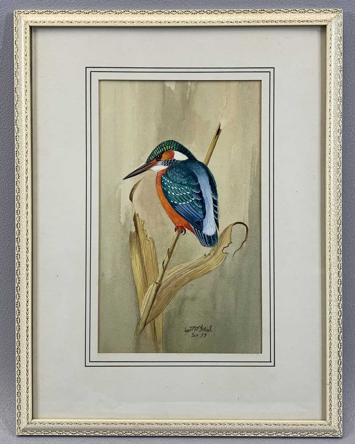 20TH CENTURY BRITISH SCHOOL finely detailed watercolour - a perched kingfisher, indistinctly - Image 2 of 2