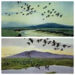 PETER SCOTT (British, 1909-1989) (1) limited edition (15/500) colour print, 'Barnacle Geese at