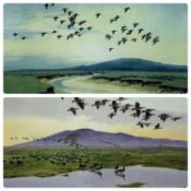 PETER SCOTT (British, 1909-1989) (1) limited edition (15/500) colour print, 'Barnacle Geese at